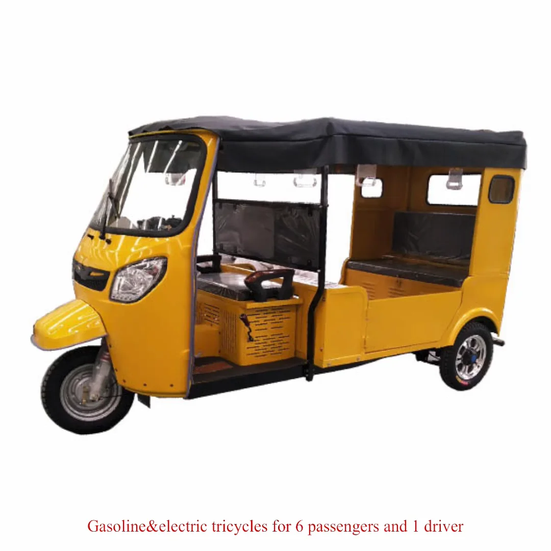 Personal Auto Rickshaw
