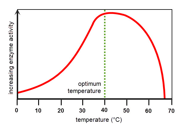 What Does Optimum Conditions Mean